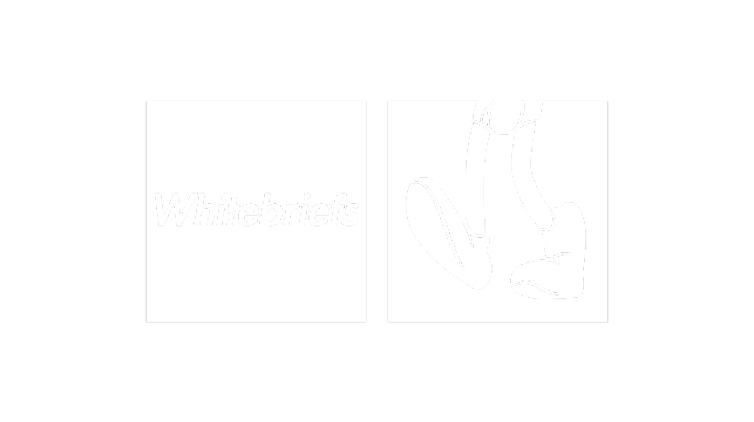 ホワイトブリーフ